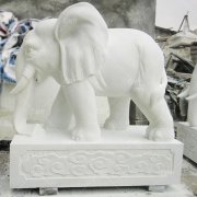 汉白玉雕刻-汉白玉石象